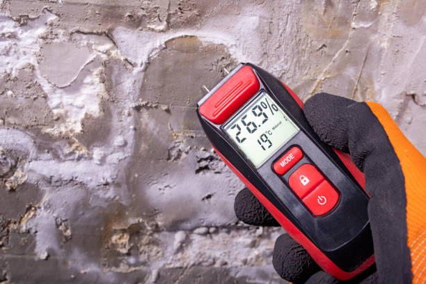 Best Residential Mold Removal  in Winder, GA