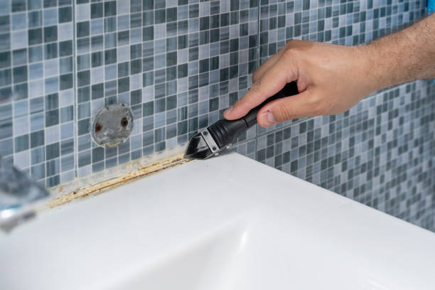 Best Commercial Mold Removal  in Winder, GA