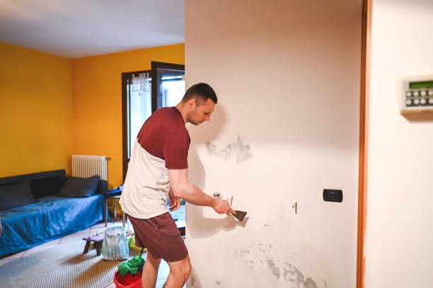 Best Best Mold Removal Companies  in Winder, GA